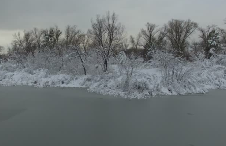 Pond Winterization